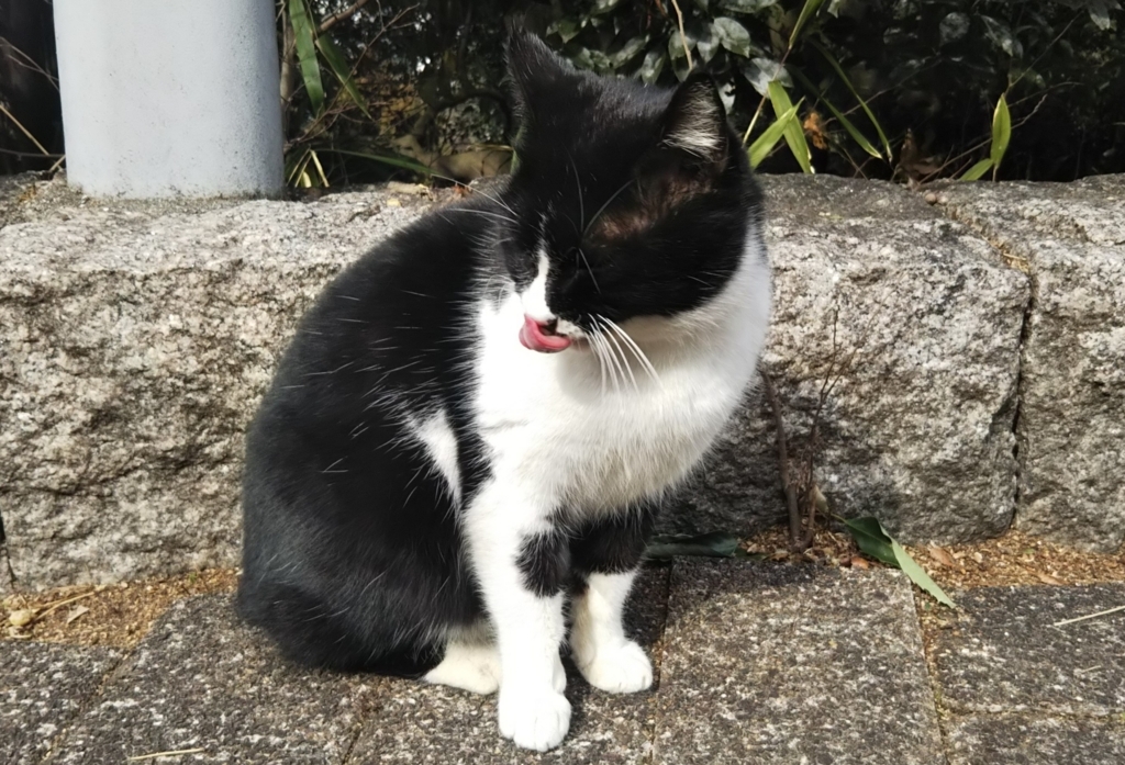 f:id:tarojiroko:20180131122108j:plain