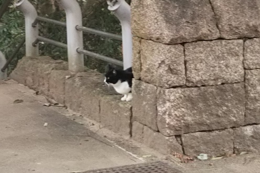 f:id:tarojiroko:20180131124309j:plain