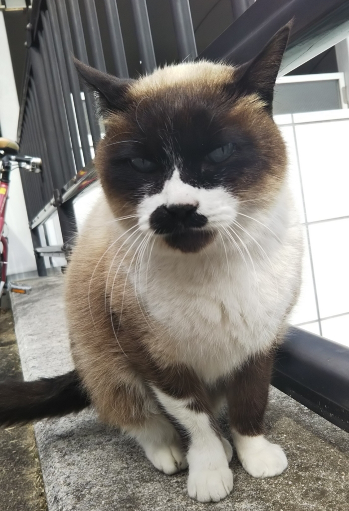 f:id:tarojiroko:20180131124722j:plain