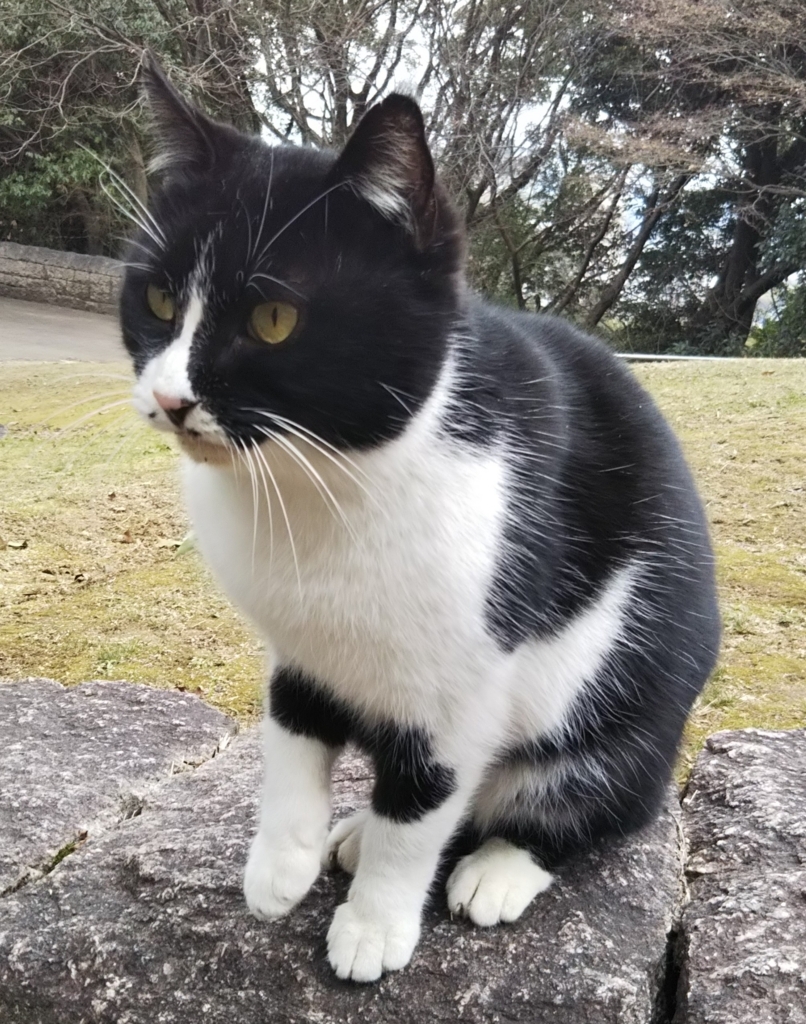 f:id:tarojiroko:20180202132811j:plain