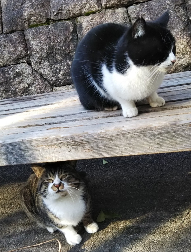 f:id:tarojiroko:20180204091731j:plain