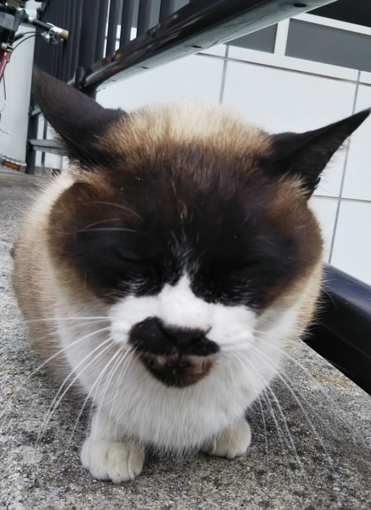 f:id:tarojiroko:20180205115959j:plain