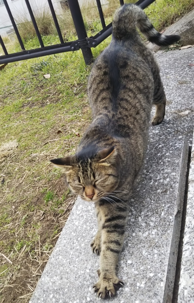 f:id:tarojiroko:20180208113813j:plain