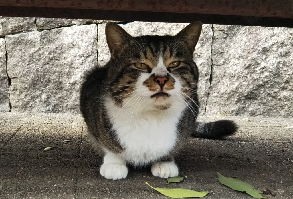 f:id:tarojiroko:20180208122814j:plain