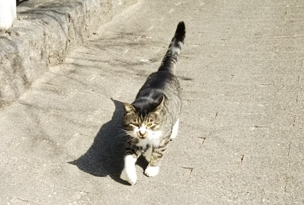 f:id:tarojiroko:20180209121237j:plain