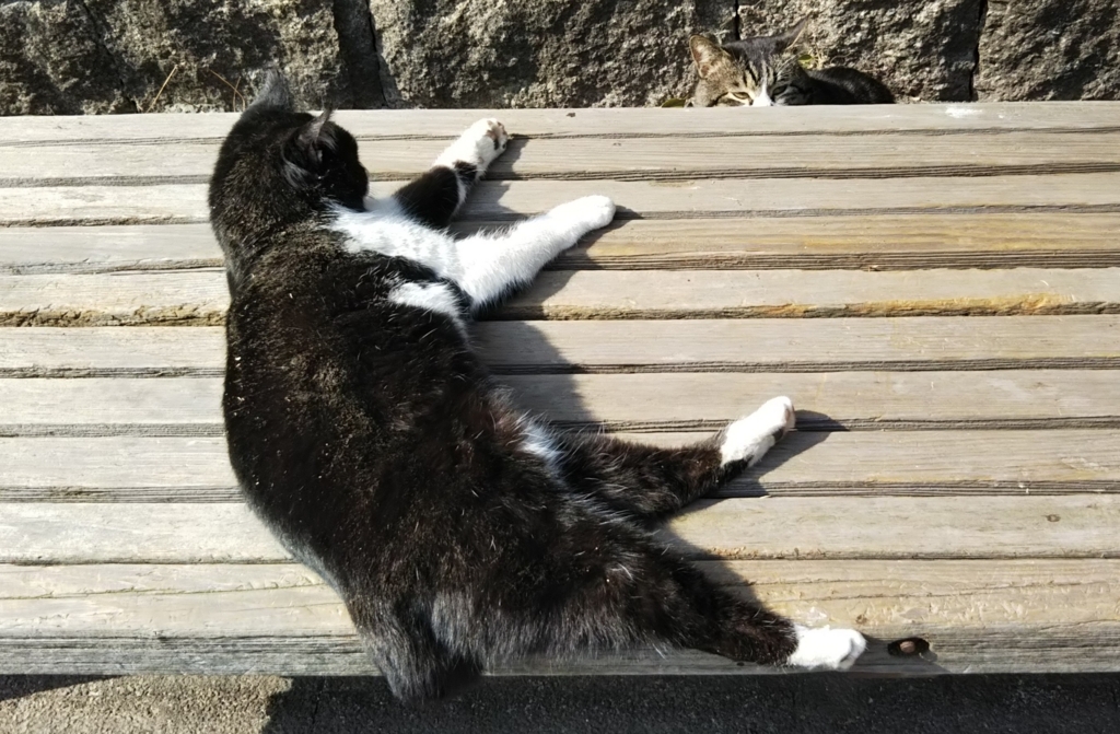 f:id:tarojiroko:20180209122820j:plain