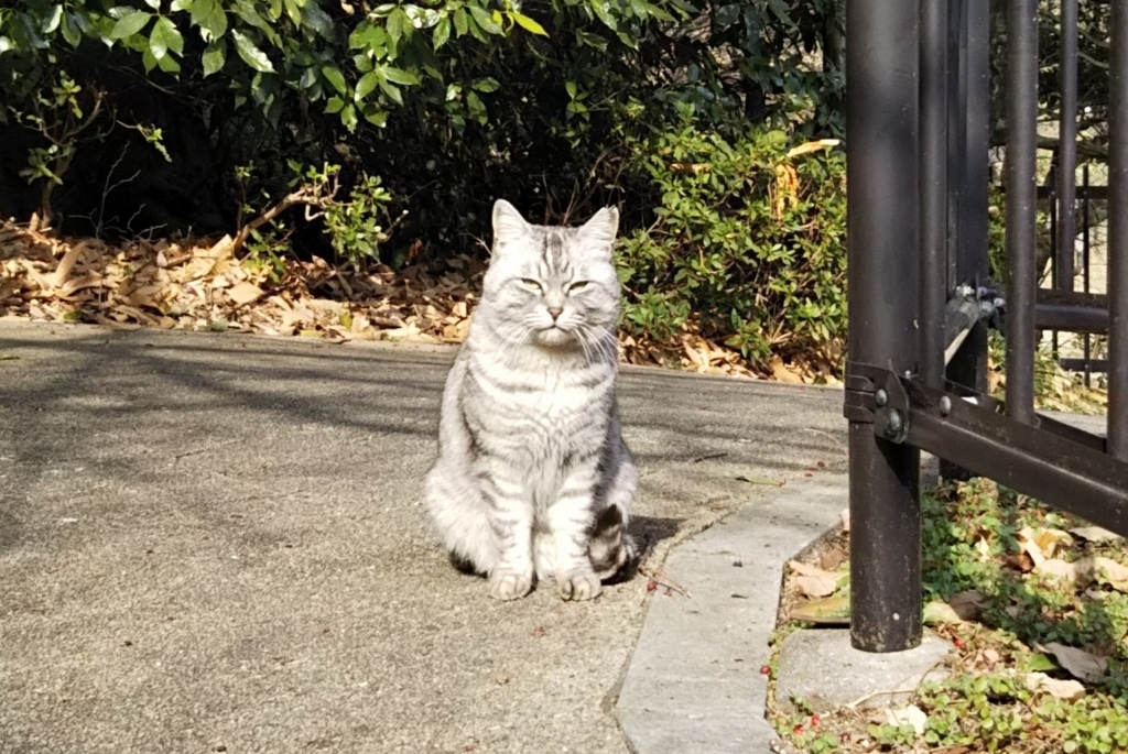 f:id:tarojiroko:20180209133308j:plain