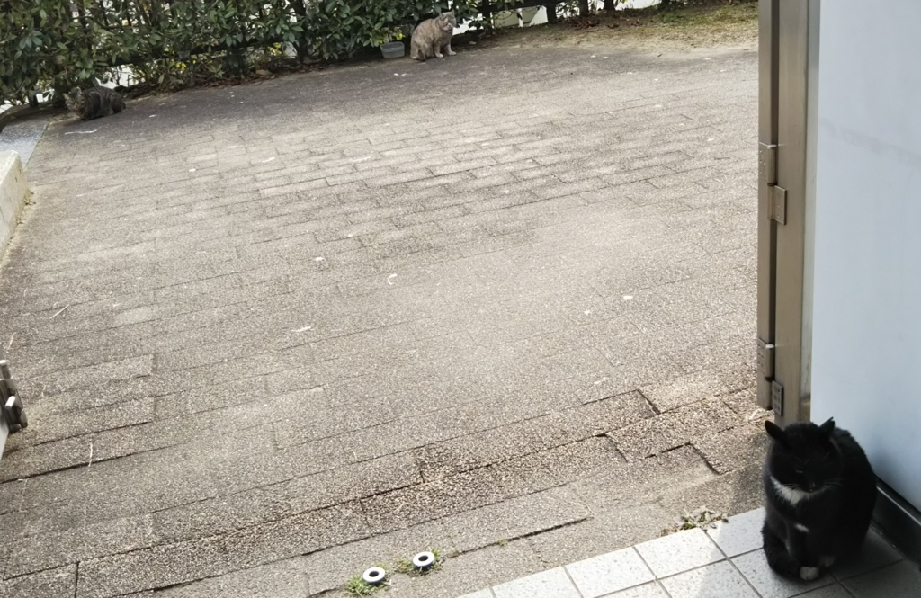 f:id:tarojiroko:20180209134046j:plain