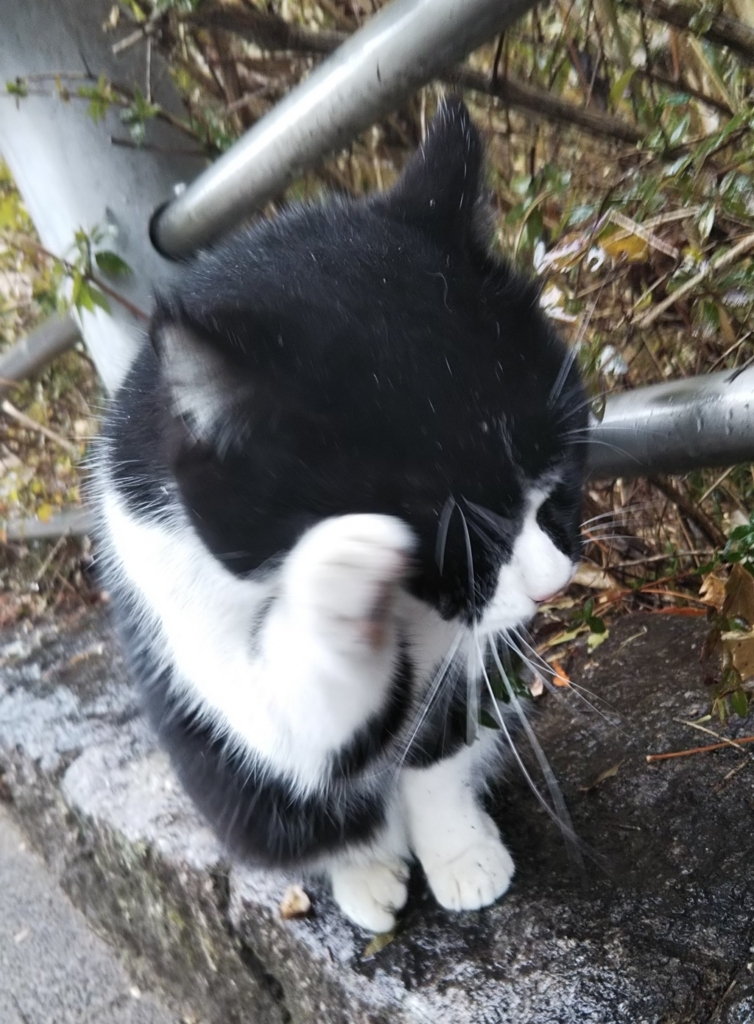 f:id:tarojiroko:20180210121940j:plain