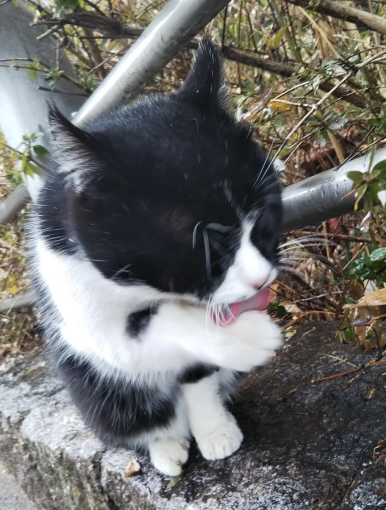 f:id:tarojiroko:20180210121942j:plain