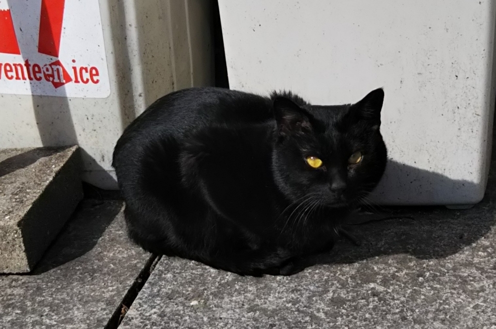 f:id:tarojiroko:20180211121432j:plain