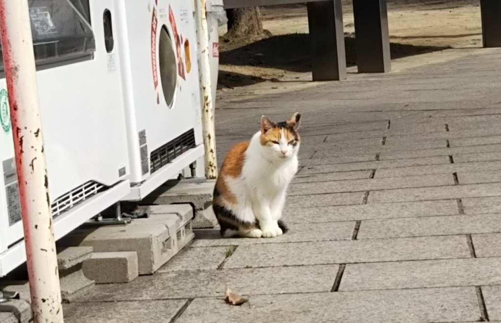f:id:tarojiroko:20180213120141j:plain
