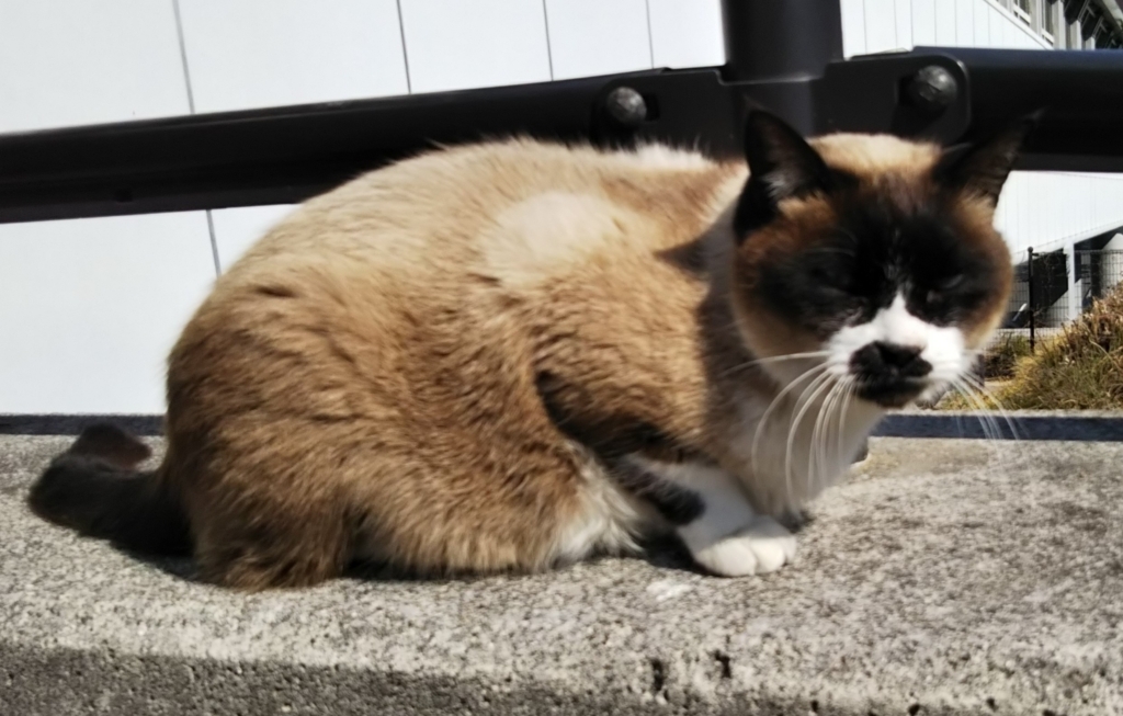 f:id:tarojiroko:20180214125520j:plain