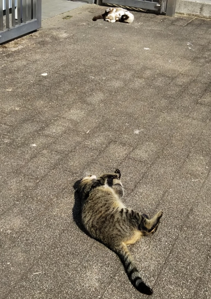 f:id:tarojiroko:20180214133151j:plain