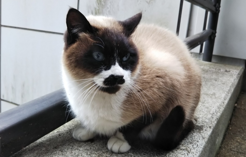 f:id:tarojiroko:20180215132323j:plain