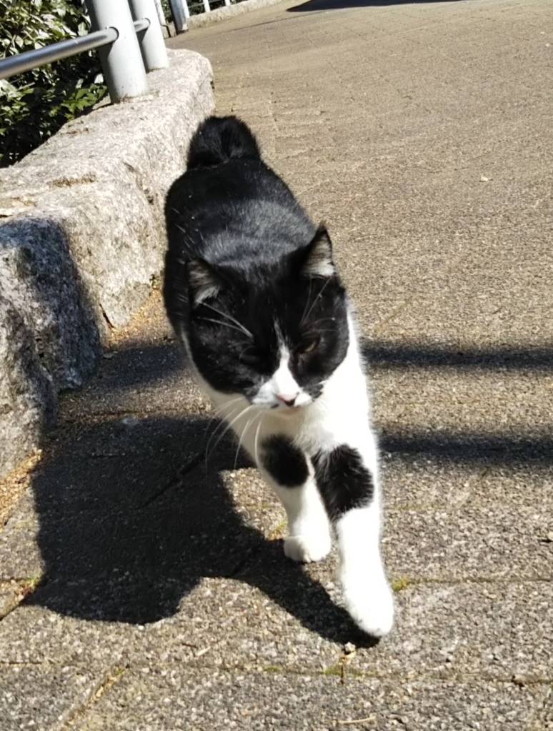 f:id:tarojiroko:20180217115927j:plain