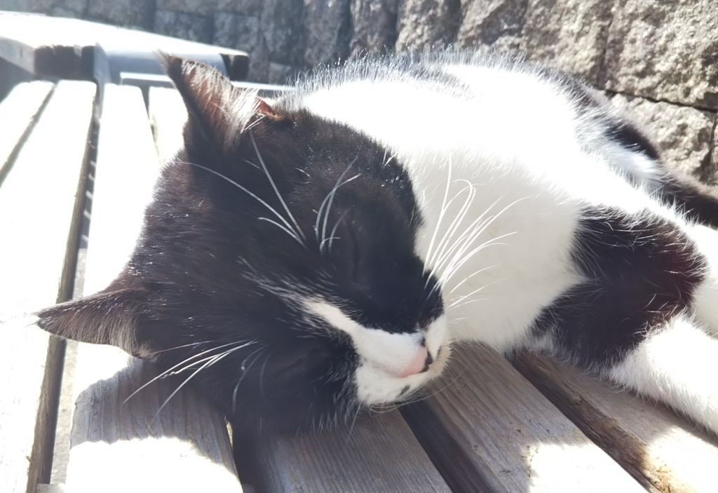 f:id:tarojiroko:20180217121437j:plain