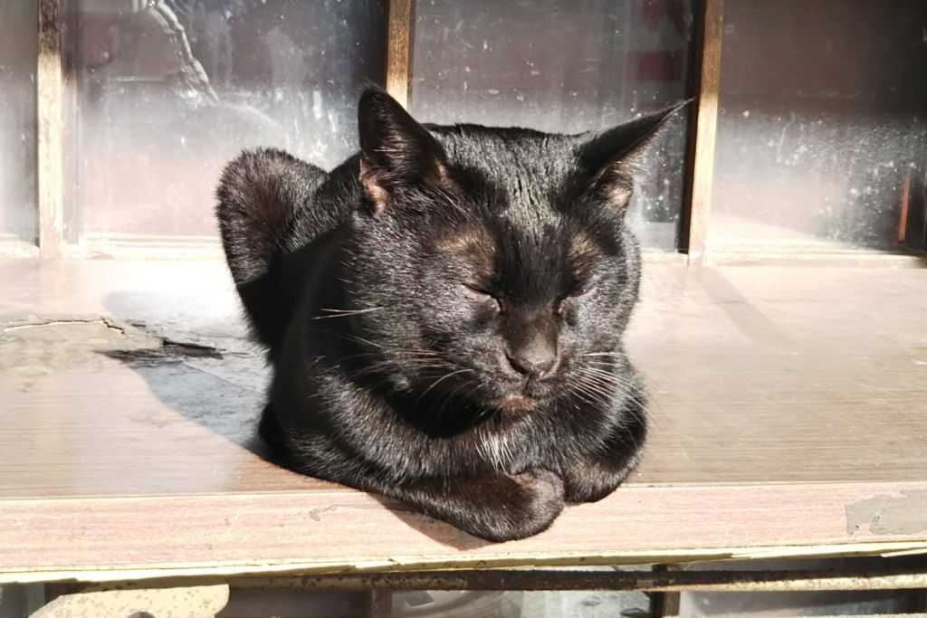 f:id:tarojiroko:20180218091256j:plain