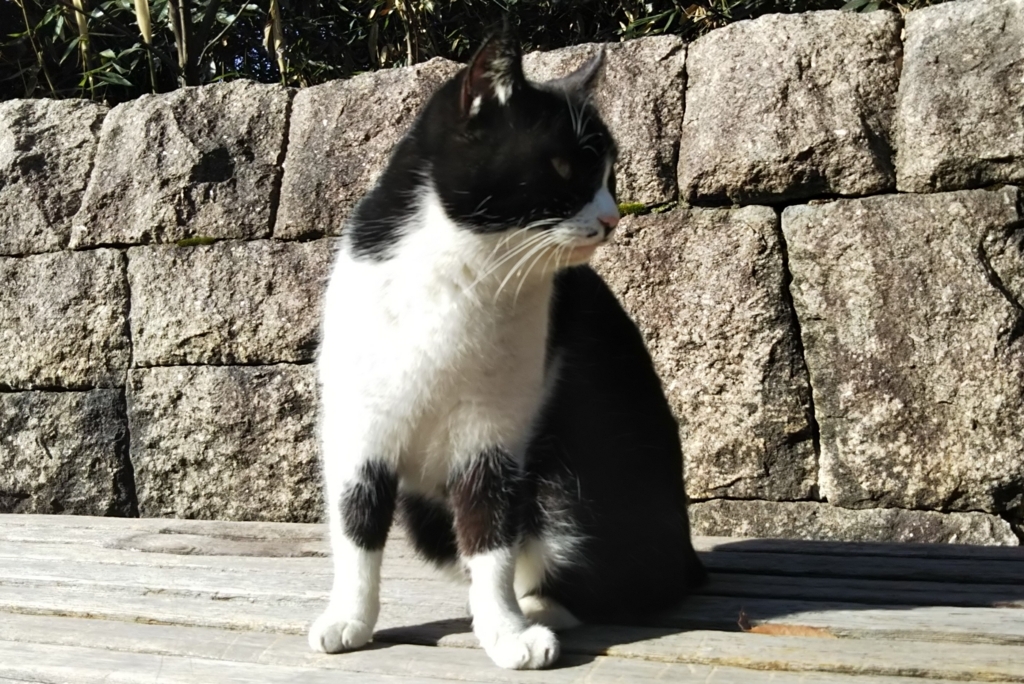 f:id:tarojiroko:20180218100424j:plain