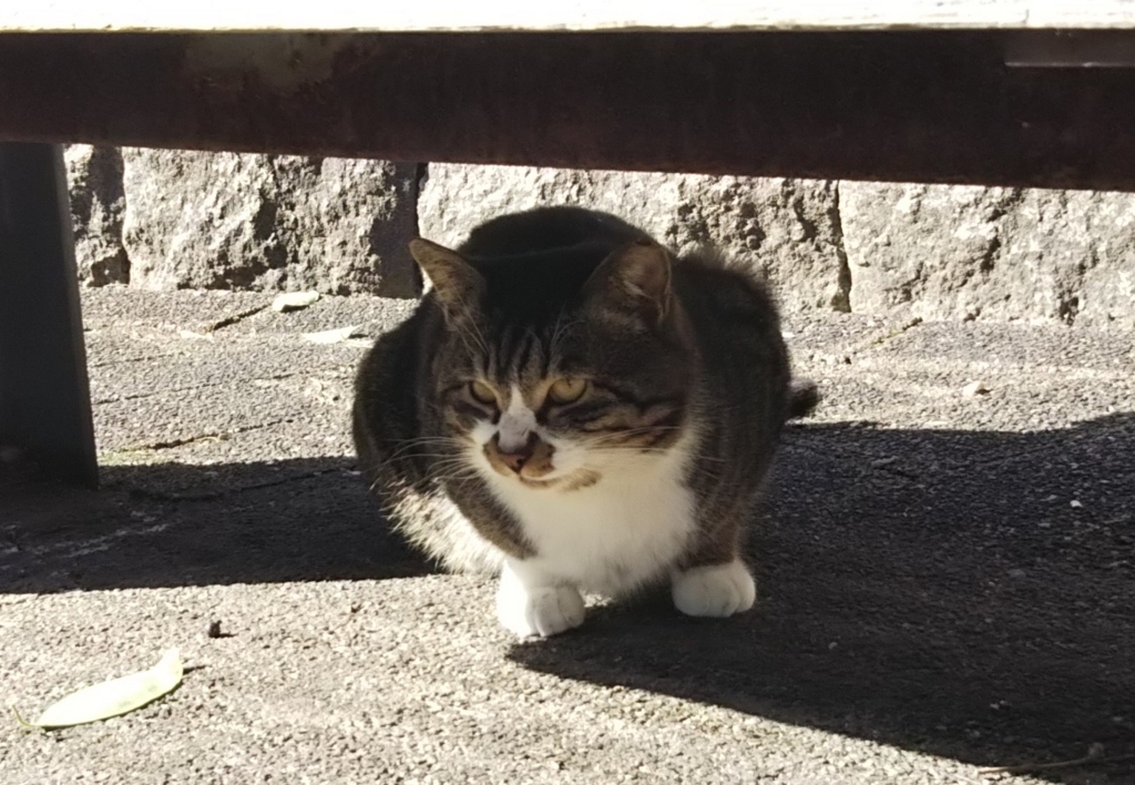 f:id:tarojiroko:20180218100436j:plain