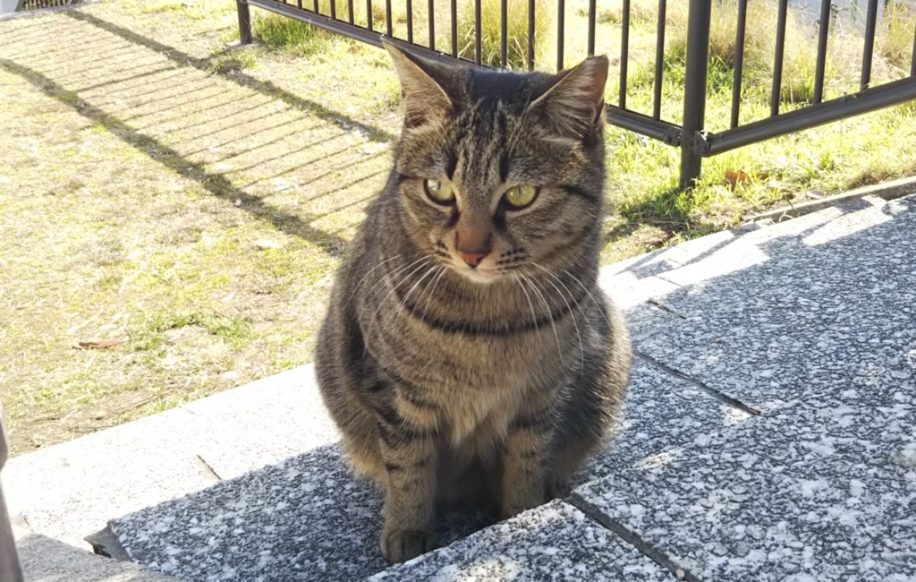 f:id:tarojiroko:20180218104212j:plain