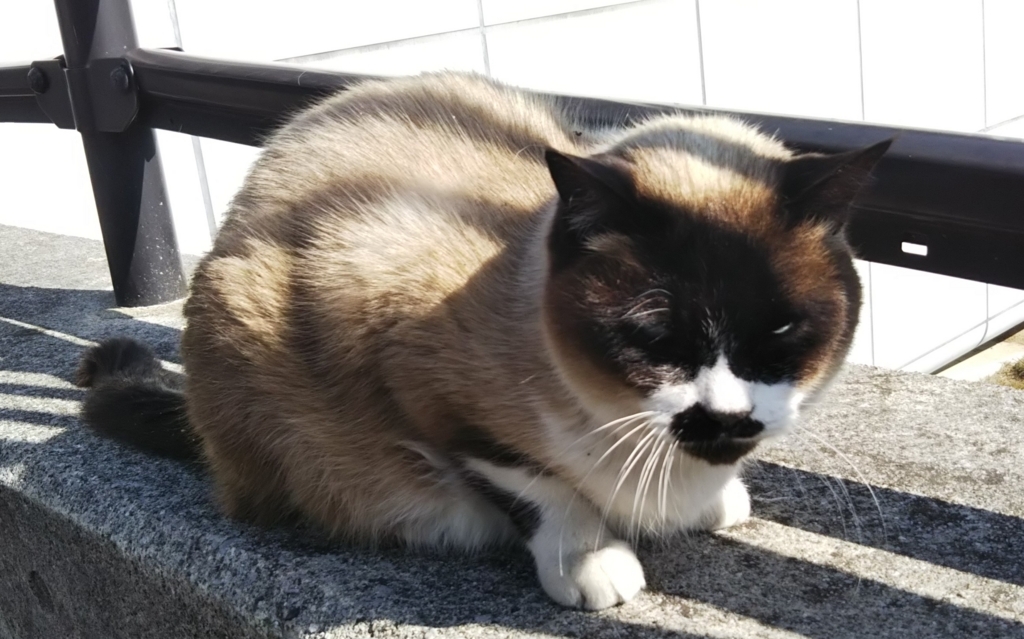 f:id:tarojiroko:20180218104228j:plain