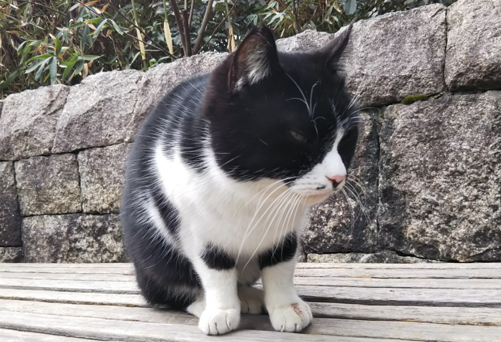 f:id:tarojiroko:20180219121919j:plain