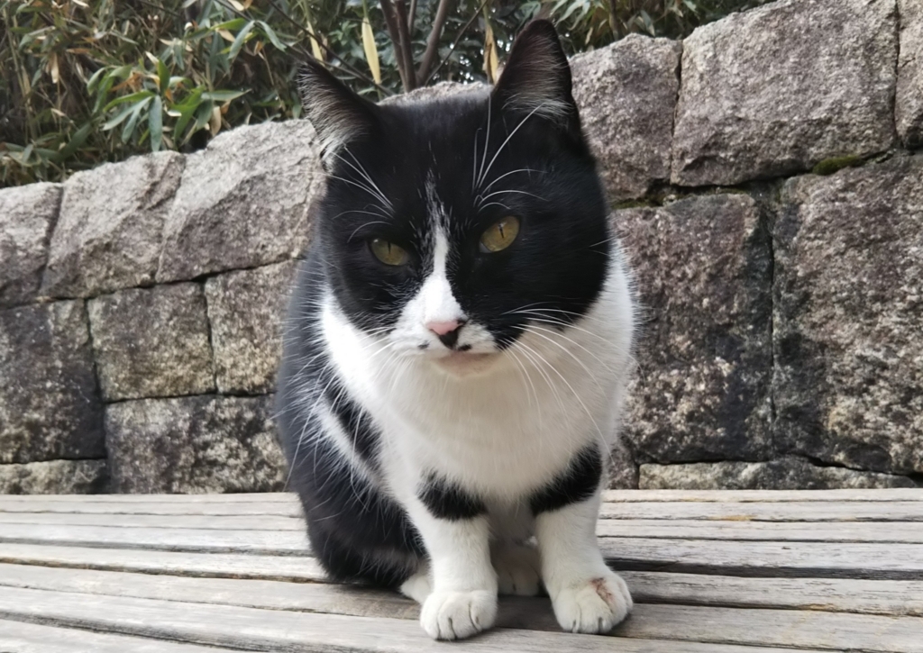 f:id:tarojiroko:20180219121921j:plain