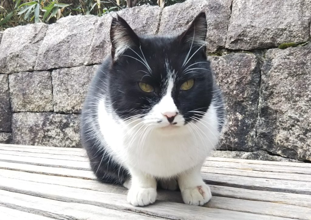 f:id:tarojiroko:20180219121933j:plain