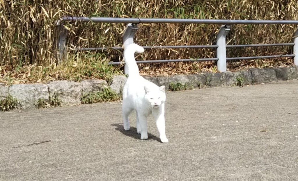 f:id:tarojiroko:20180222121948j:plain