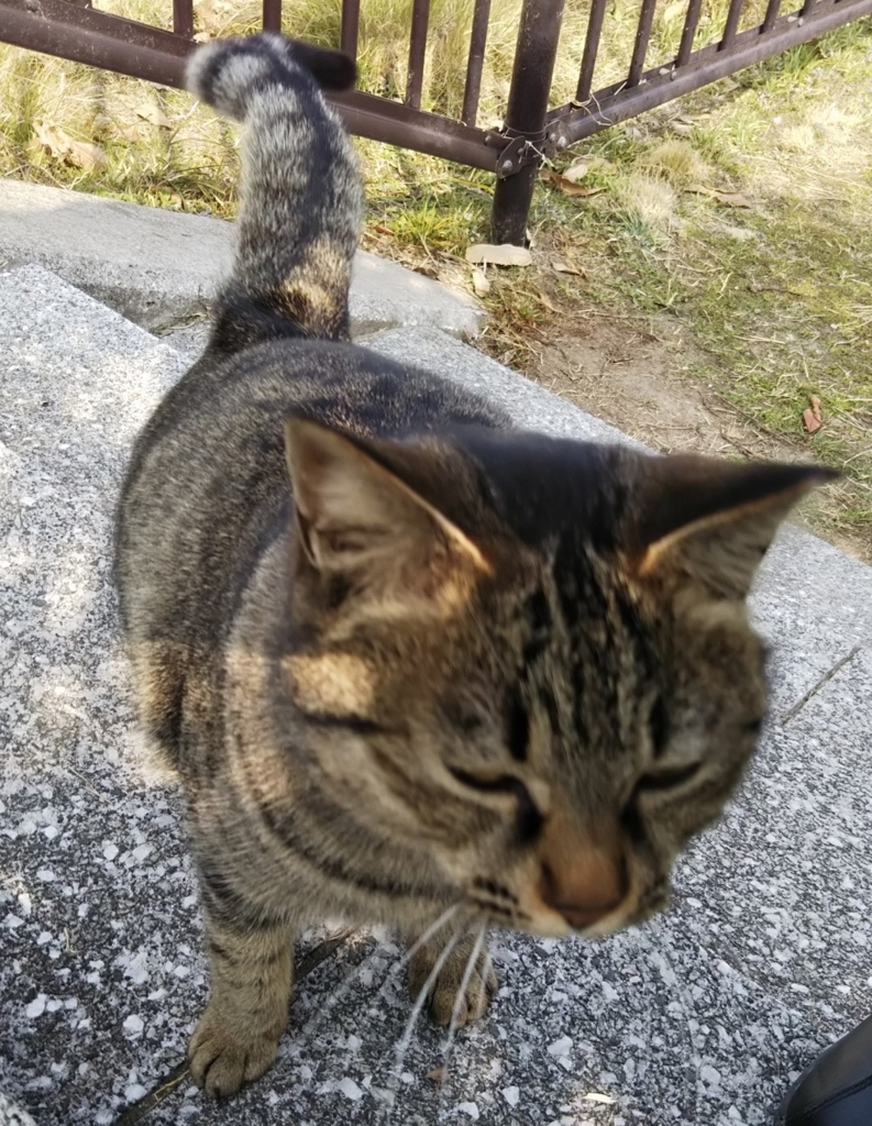 f:id:tarojiroko:20180224132750j:plain