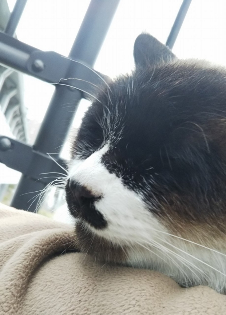 f:id:tarojiroko:20180301175136j:plain