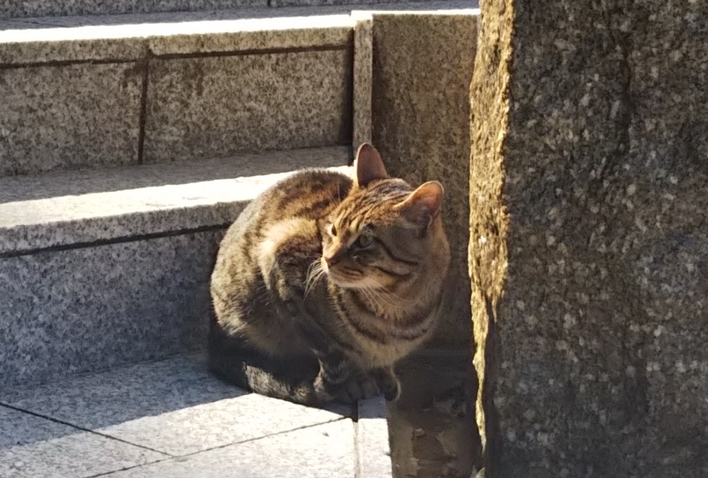 f:id:tarojiroko:20180302133023j:plain