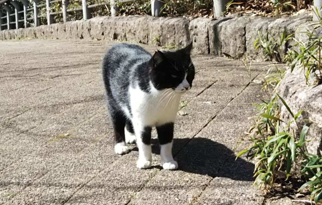 f:id:tarojiroko:20180306120434j:plain