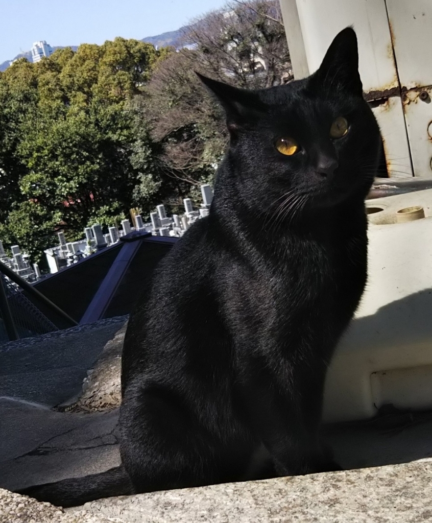 f:id:tarojiroko:20180306125245j:plain