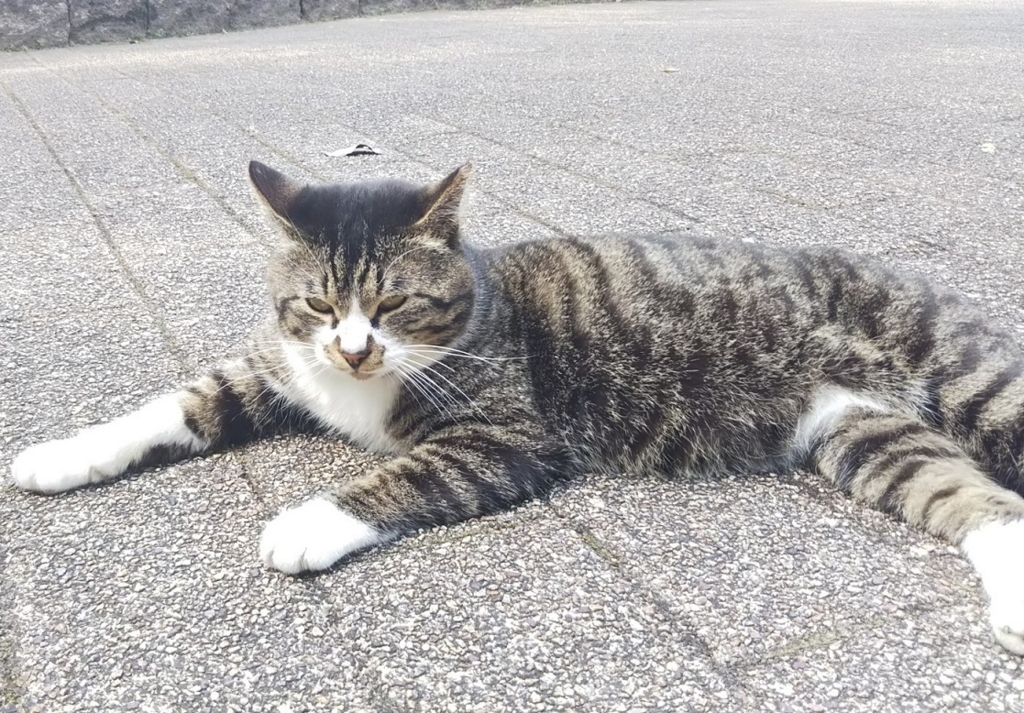 f:id:tarojiroko:20180315122016j:plain