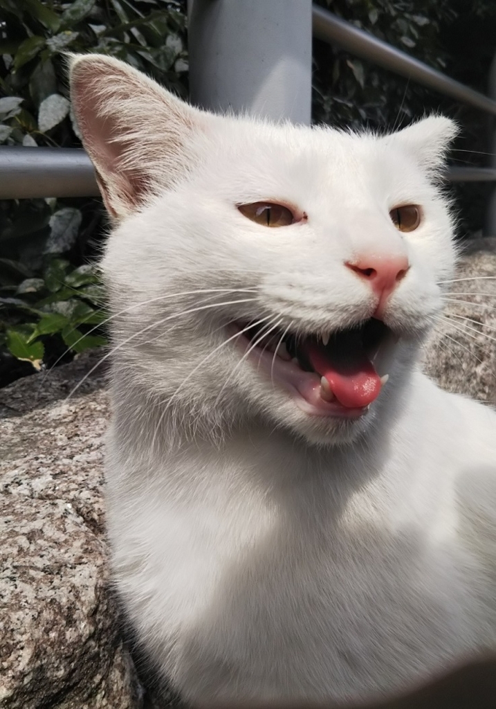 f:id:tarojiroko:20180315123724j:plain