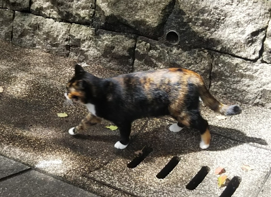 f:id:tarojiroko:20180322134056j:plain