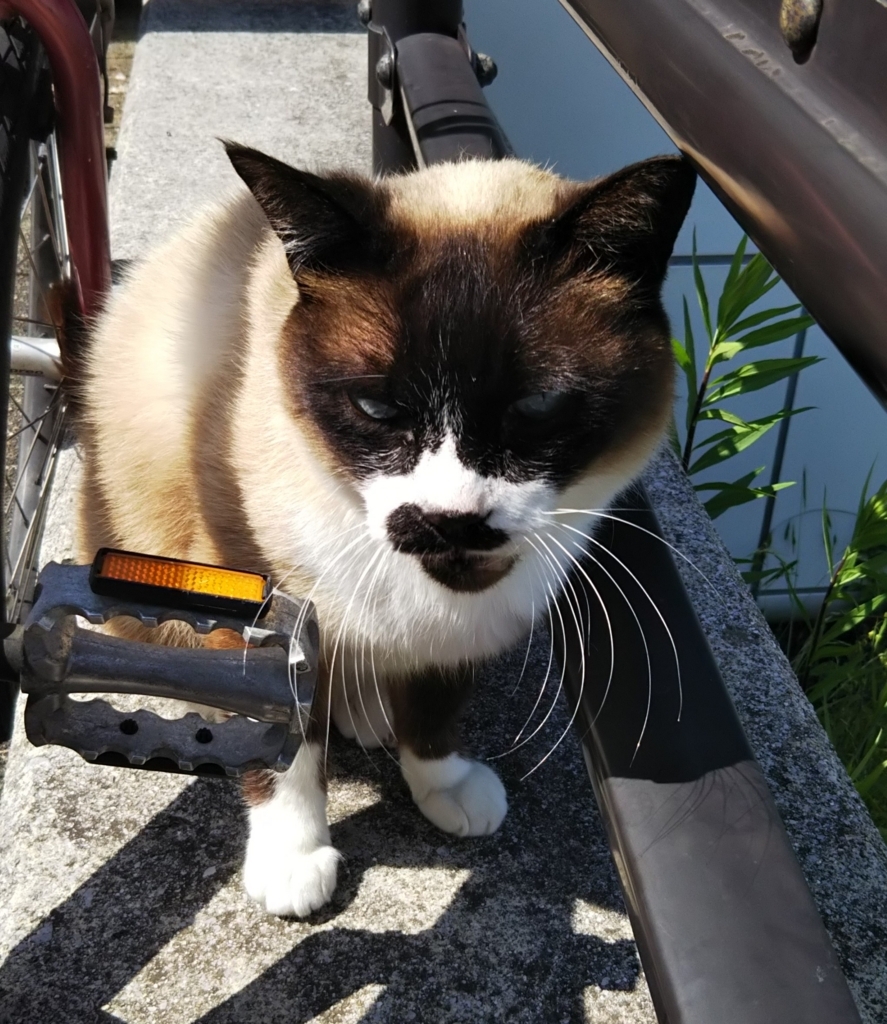 f:id:tarojiroko:20180514143242j:plain