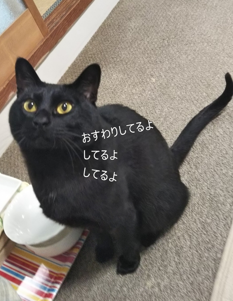 f:id:tarojiroko:20180525053938j:plain