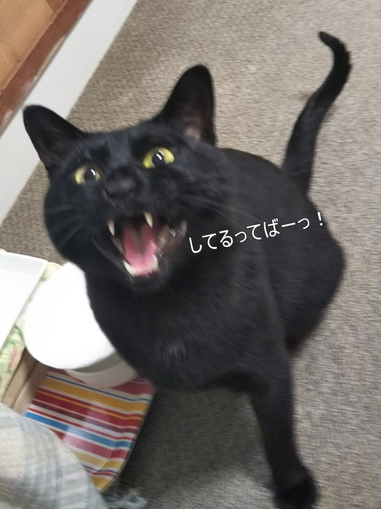 f:id:tarojiroko:20180525053941j:plain