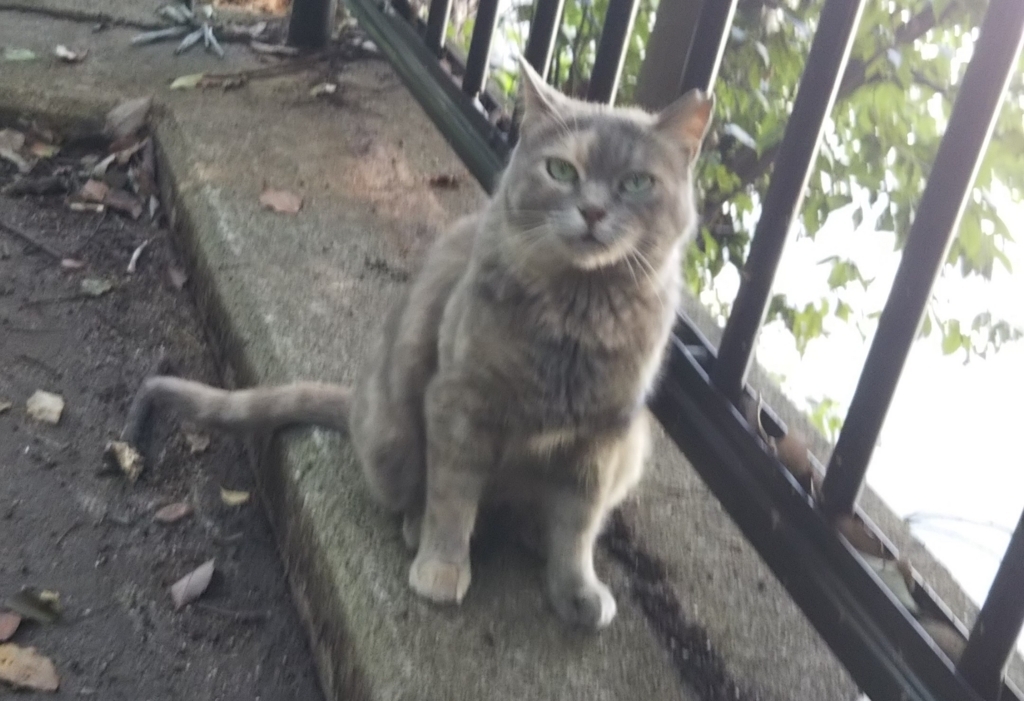 f:id:tarojiroko:20180726142432j:plain f:id:tarojiroko:20180726142432j:plain