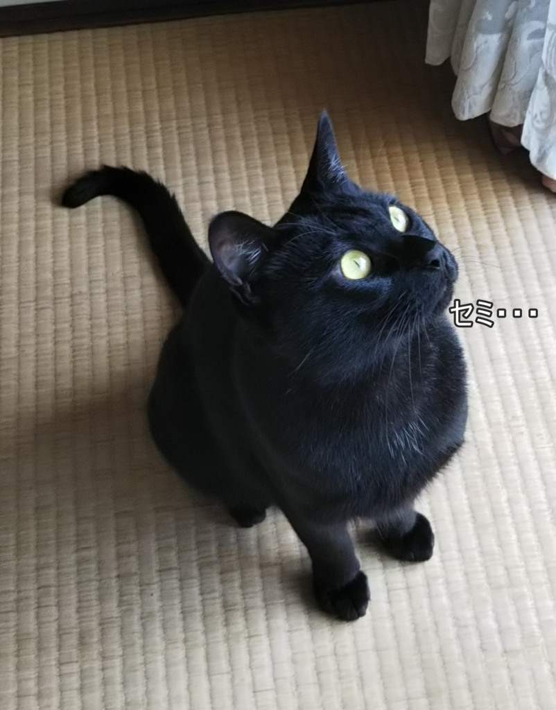 f:id:tarojiroko:20180727093330j:plain