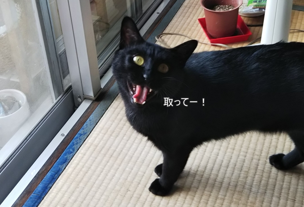 f:id:tarojiroko:20180727093340j:plain