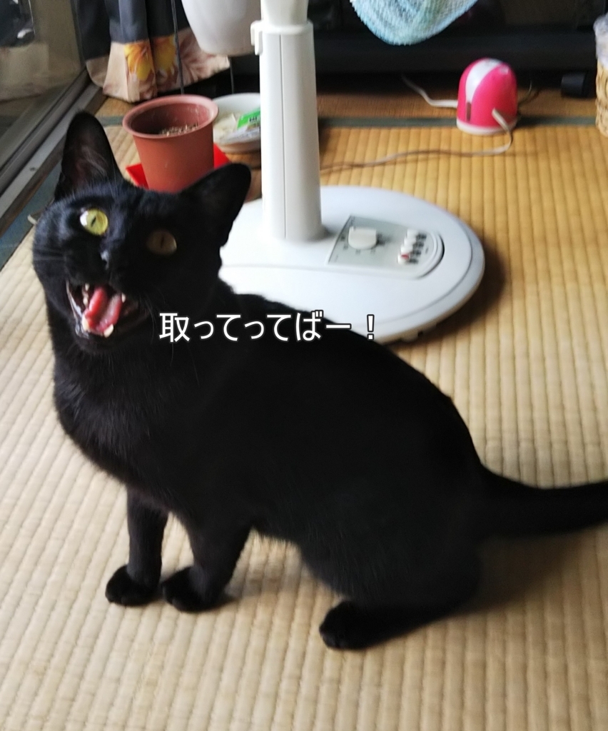 f:id:tarojiroko:20180727093425j:plain