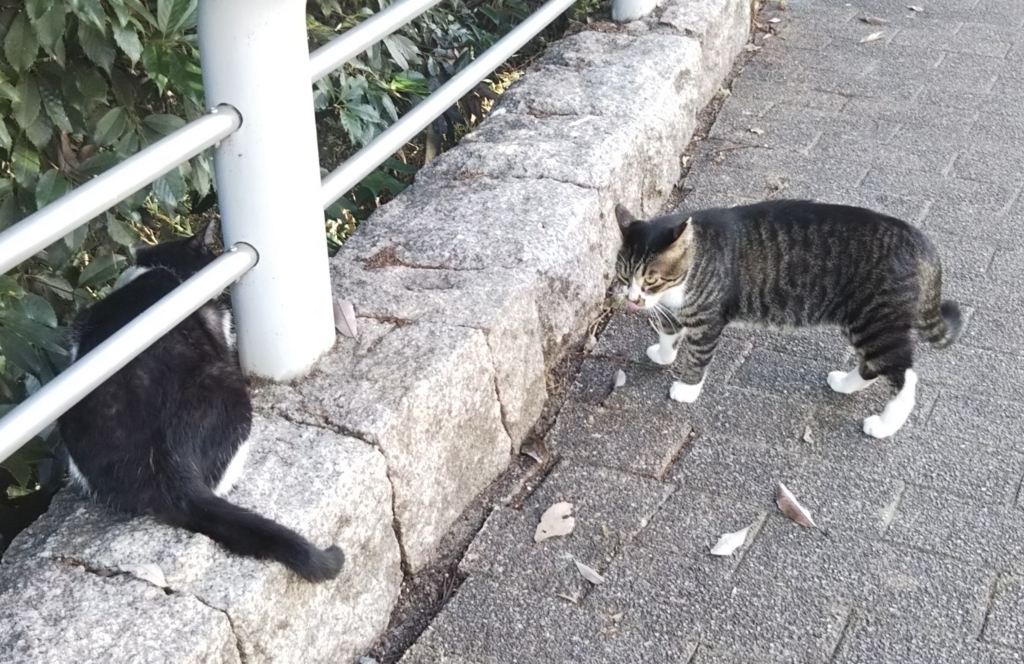 f:id:tarojiroko:20180802145822j:plain
