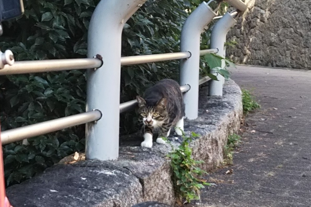f:id:tarojiroko:20180802151209j:plain