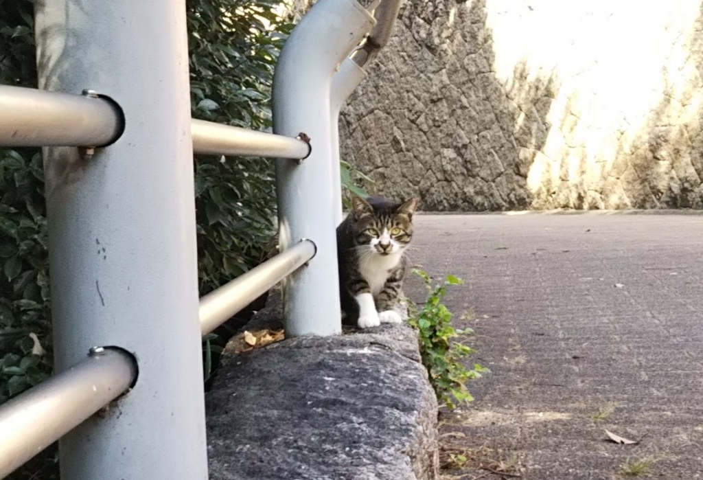 f:id:tarojiroko:20180802151259j:plain