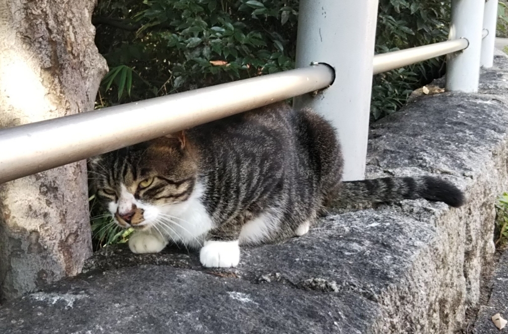 f:id:tarojiroko:20180802151336j:plain