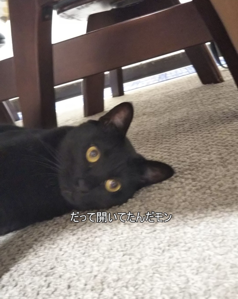 f:id:tarojiroko:20180813200750j:plain